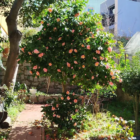 Apartment La Camelia